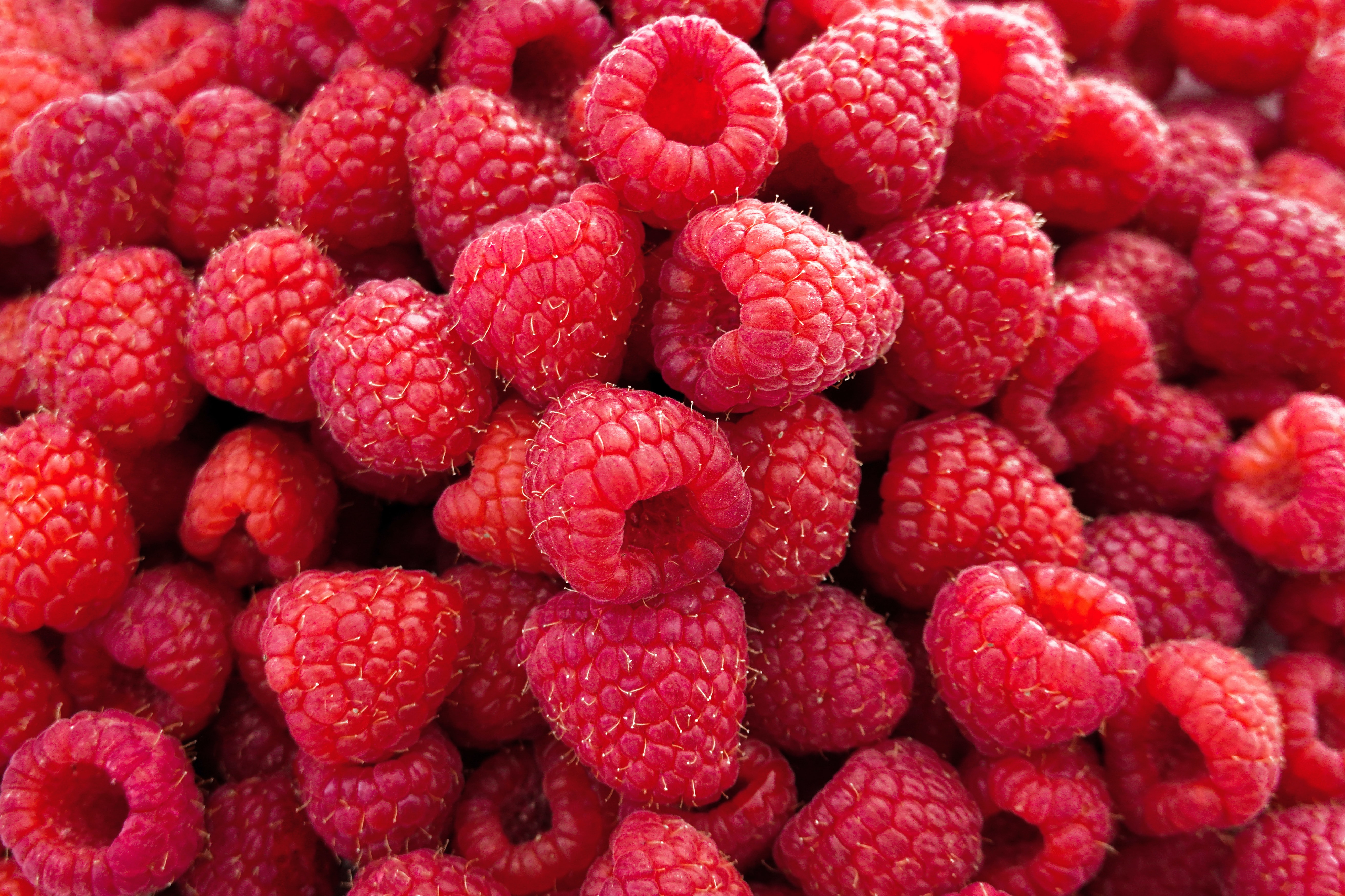 Raspberries