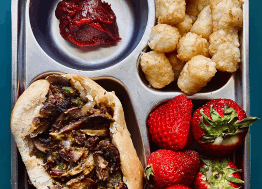 Philly-style hoagie-Stylized